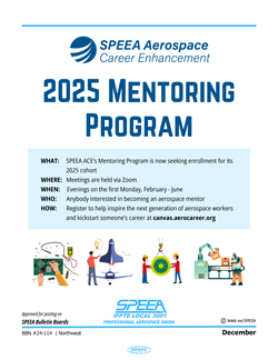 2025 Mentoring program